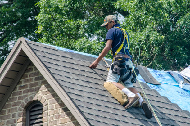 Professional Roofing Contractor in Smith Mills, MA